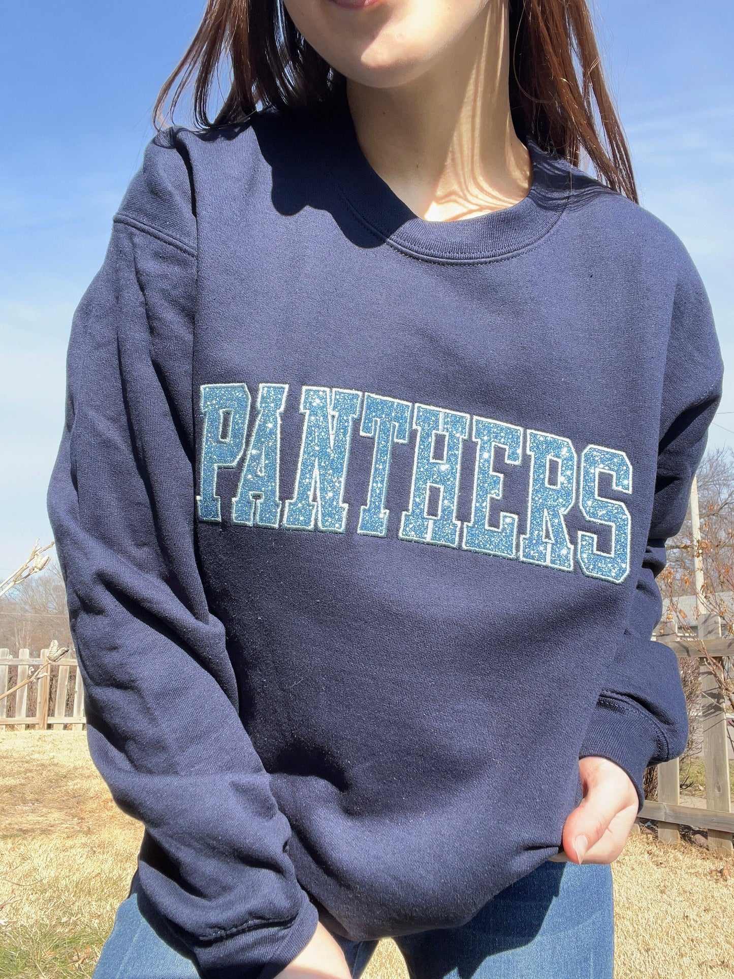 Panthers Glitter & Embroidered Crewneck